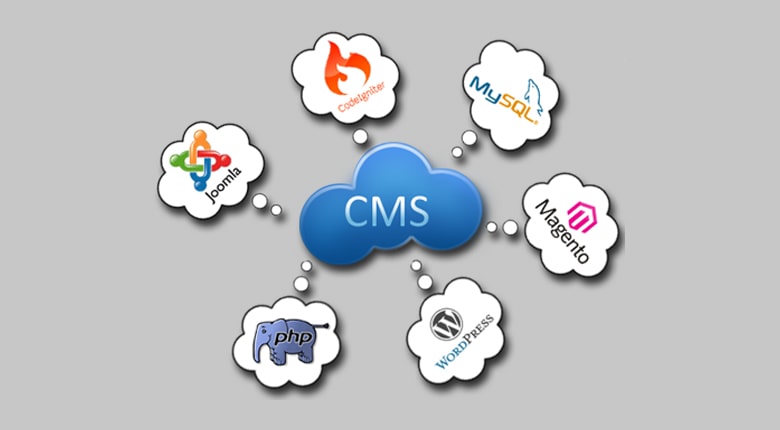 سیستم مدیریت محتوا - cms
