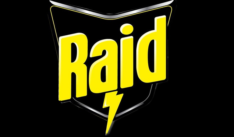 RAID - فناوری RAID