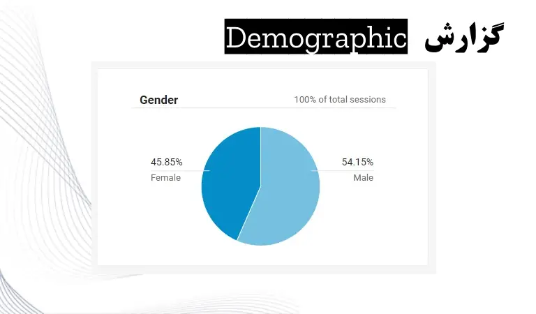 گزارش Demographic