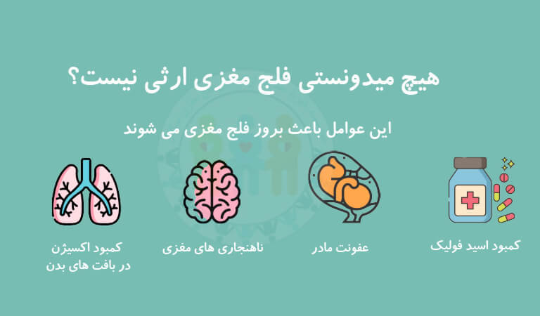 موسسه خیریه سگال - راه‌های درمان فلج مغزی 