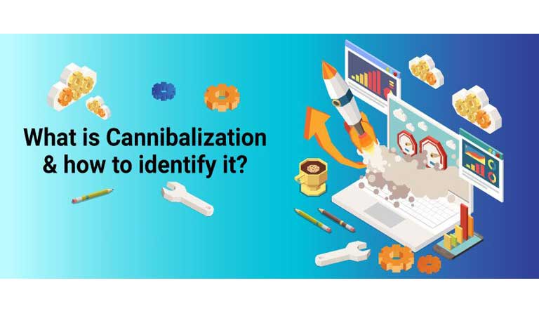 چگونه کنیبالیزیشن را شناسایی کنیم؟ - cannibalization چیست