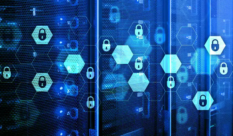 انواع گواهینامه SSL براساس تعداد دامنه