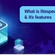 litespeed چیست؛ ویژگی‌ها، مزایا و نصب آن روی ابونتو و سنت‌او‌اس
