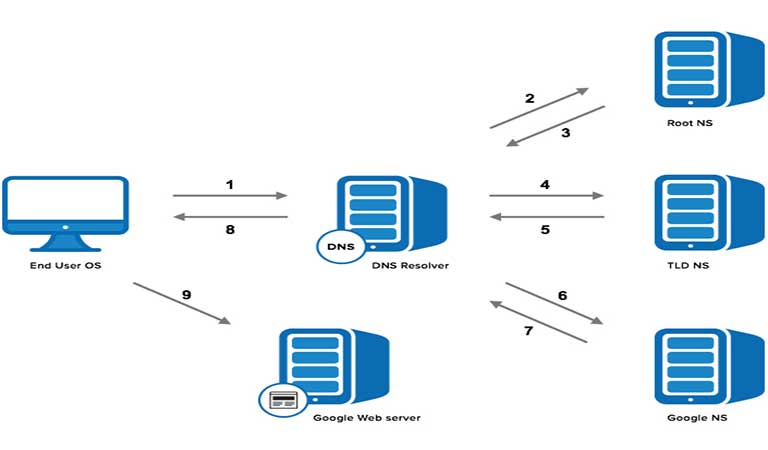 مراحل جستجوی DNS