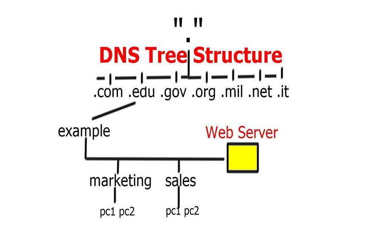 ساختار DNS به چه صورت است؟