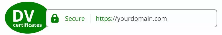 DV یا Domain Validated SSL Certificate