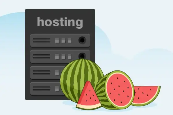 با هاست وب‌رمز سرعت و امنیت رو تجربه کن