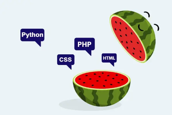 webramz web design services
