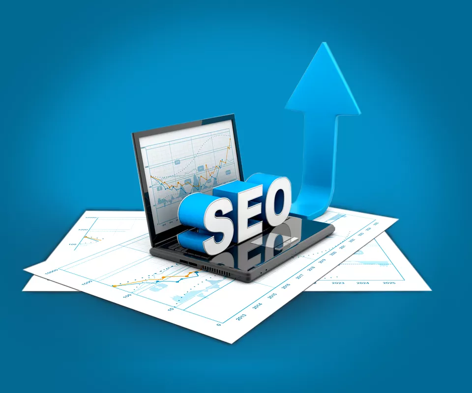 SEO portfolio