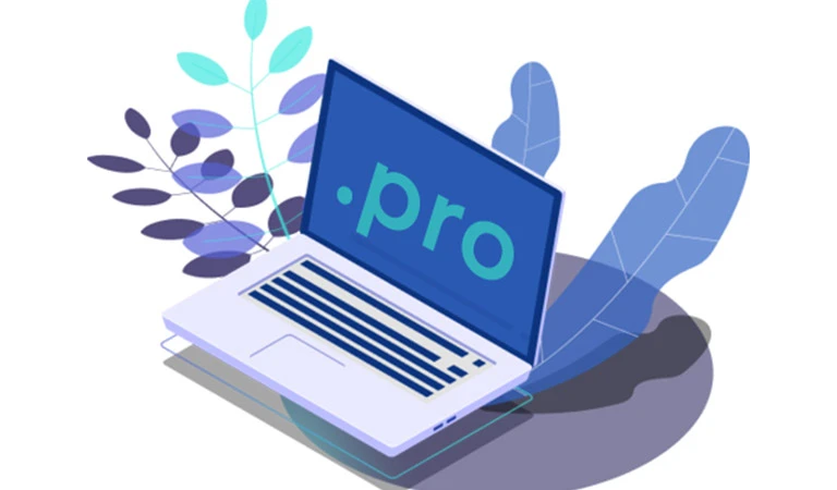 معرفی دامنه پرو pro